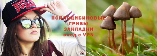 дурь Алзамай