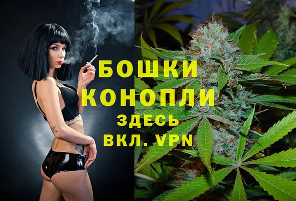 дурь Алзамай