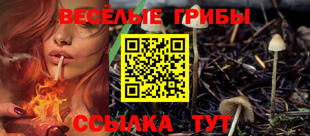 Псилоцибиновые грибы мицелий  Вход с VPN  Дзержинский 